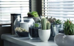 pots-716579_1920